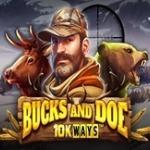 Bucks and Doe 10K Ways